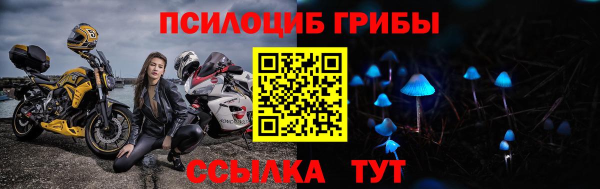 Назарово  сколько стоит  Галлюциногенные грибы Psilocybe  Вход с VPN  Галлюциногенные грибы мицелий 